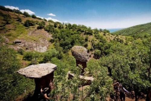 Уникальные каменные грибы. 05