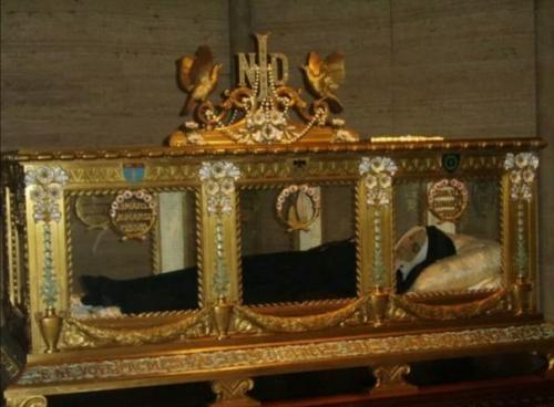 Загадка спящей красавицы. 02 Загадка спящей красавицы. 02