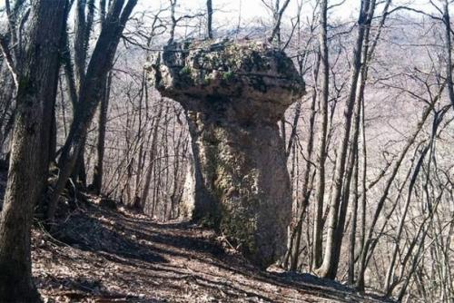 Уникальные каменные грибы. 07