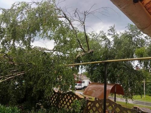 Ураган в нижегородской области - погибла пятилетняя девочка, ещё несколько человек пострадали. 01