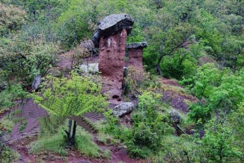 Уникальные каменные грибы. 04