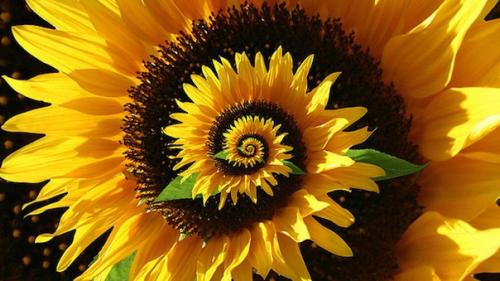 Почему математика хорошо описывает реальность?