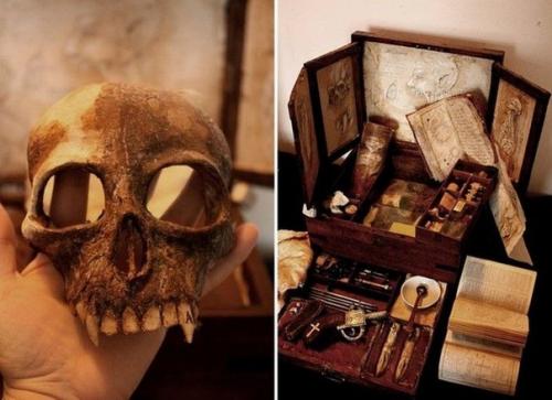 Коллекция таинственных криптидов Томаса мерлина. 09 Коллекция таинственных криптидов Томаса мерлина. 09