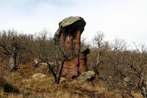 Уникальные каменные грибы. 06