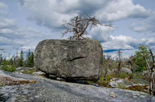 Камни юность земли помнят. 02