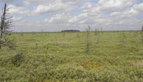 Аномальный могильный мыс. 04