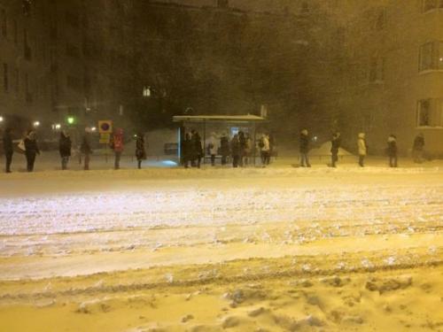 Почему эти люди держат 1 метр расстояния между собой? 
