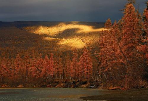 Аномальная зона - плато путорана. 03