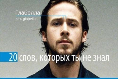 20 слов, которых ты, возможно, не знал.

