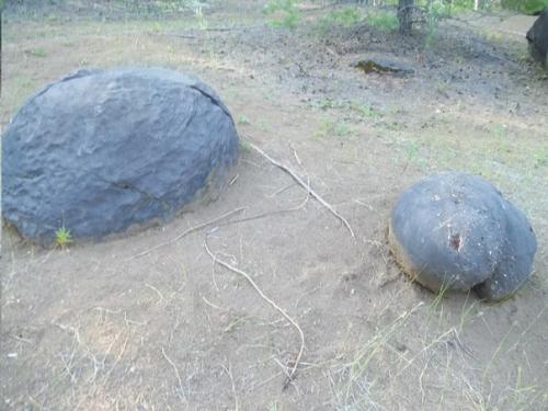 Жуковлянские валуны - альтернативная ветвь эволюции. 05