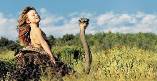 Девочка типпи и африканские дикие животные. 01