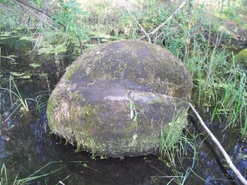 Жуковлянские валуны - альтернативная ветвь эволюции. 02