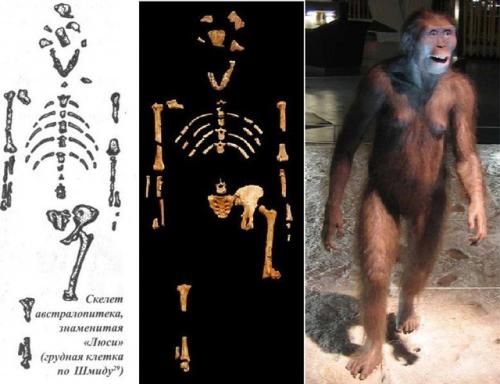 Почему не находят скелетов снежного человека. 02 Почему не находят скелетов снежного человека. 02
