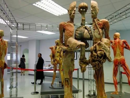 Музей смерти (США, лос - анджелес). 02