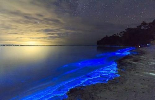 Сияющее побережье австралии. 01