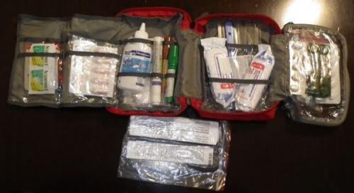 Мы собираем аптечку в поход.

