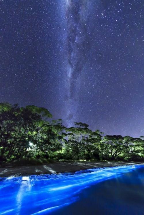 Сияющее побережье австралии. 05