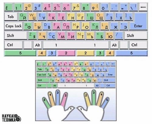 Полезные советы: как научится печатать Вслепую. Полезные советы: как научится печатать Вслепую.