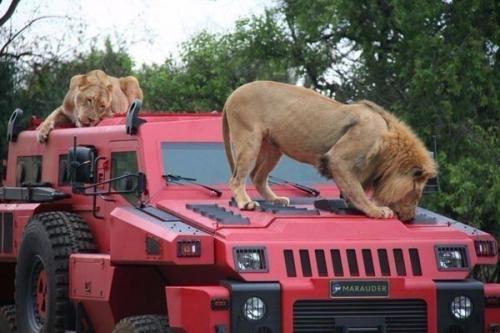 Самый прочный автомобиль в мире. 01