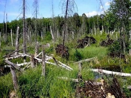 5 самых аномальных мест России. 01 5 самых аномальных мест России. 01