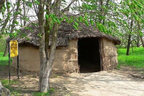 Зaгaдка стpaны мeoтиды. 03 Зaгaдка стpaны мeoтиды. 03