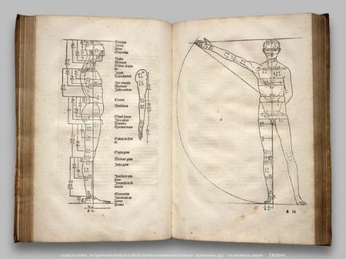 Альбрехт дюрер.  Трактаты о симметрии и о размерах, 1532. 02
