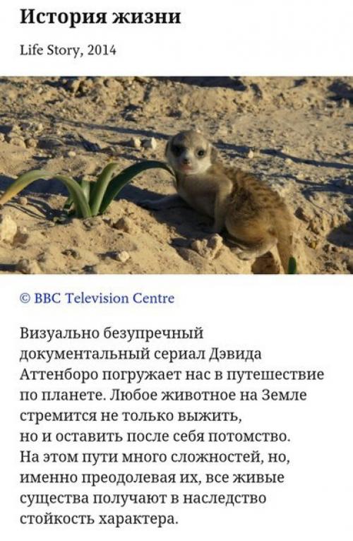 Мы знаем много крутых сериалов из Великобритании вроде Шерлока, доктора кто, аббатства даунтон и кучу других. 01