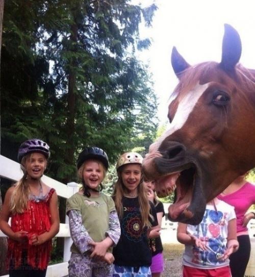 Lee Seung Gi превращается в дерзкого каскадера с золотым сердцем + привлекательный новый цвет волос в Vagabond. 04 Lee Seung Gi превращается в дерзкого каскадера с золотым сердцем + привлекательный новый цвет волос в Vagabond. 04