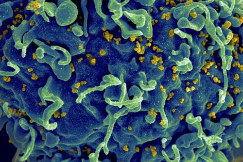 10 главных научных открытий 2017 года. 03 10 главных научных открытий 2017 года. 03