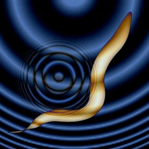 Новая техника позволит контролировать мозг с помощью ультразвука.

