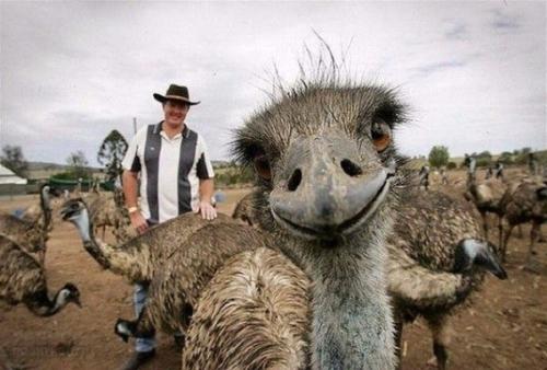 Lee Seung Gi превращается в дерзкого каскадера с золотым сердцем + привлекательный новый цвет волос в Vagabond. 02 Lee Seung Gi превращается в дерзкого каскадера с золотым сердцем + привлекательный новый цвет волос в Vagabond. 02