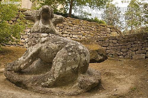 Лес иероглифов. Ezomir. 02