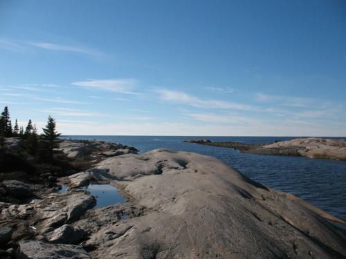 Древнее динозавров: до массового вымирания динозавров был более глобальный катаклизм. 02