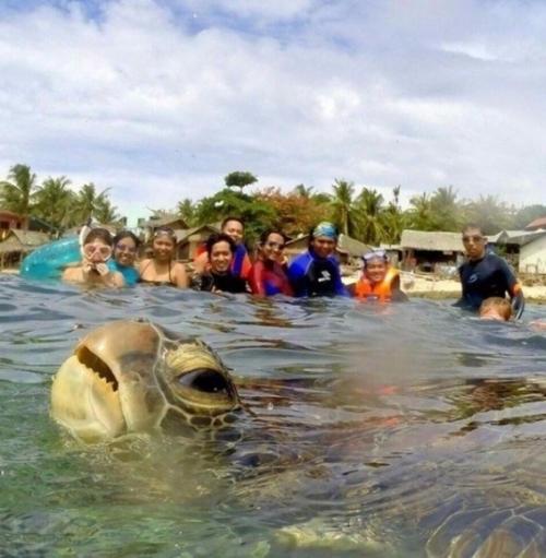 Lee Seung Gi превращается в дерзкого каскадера с золотым сердцем + привлекательный новый цвет волос в Vagabond. 03 Lee Seung Gi превращается в дерзкого каскадера с золотым сердцем + привлекательный новый цвет волос в Vagabond. 03