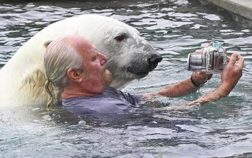 Необычная дружба.  Марк эббот думас - единственный человек в мире, способный находиться в такой непосредственной близости от полярного медведя. 02