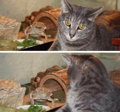 Lee Seung Gi превращается в дерзкого каскадера с золотым сердцем + привлекательный новый цвет волос в Vagabond. 01 Lee Seung Gi превращается в дерзкого каскадера с золотым сердцем + привлекательный новый цвет волос в Vagabond. 01