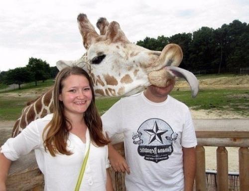 Lee Seung Gi превращается в дерзкого каскадера с золотым сердцем + привлекательный новый цвет волос в Vagabond. 05 Lee Seung Gi превращается в дерзкого каскадера с золотым сердцем + привлекательный новый цвет волос в Vagabond. 05