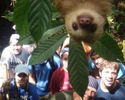 Lee Seung Gi превращается в дерзкого каскадера с золотым сердцем + привлекательный новый цвет волос в Vagabond. 06 Lee Seung Gi превращается в дерзкого каскадера с золотым сердцем + привлекательный новый цвет волос в Vagabond. 06