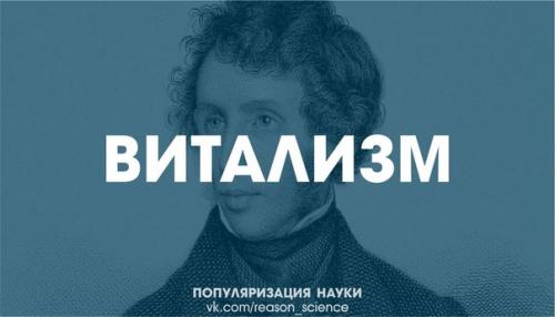 Существует Особая Сила, Благодаря Которой Образуются Молекулы в Биологических Системах.