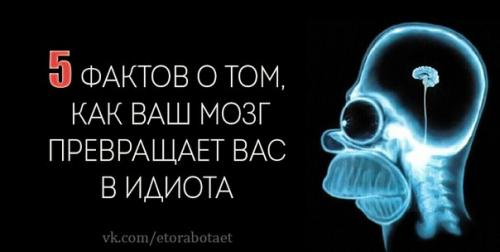 Больше всего ваш мозг любит вам вредить, причём делает он это самыми разными способами. Больше всего ваш мозг любит вам вредить, причём делает он это самыми разными способами.