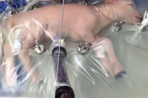 Все, что Могло Быть Изобретено, уже Изобрели,  - заявил уважаемый эксперт из британского бюро патентов в 1899 году. 07