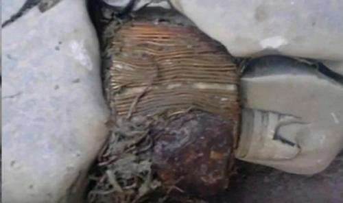 Древний артефакт, похожий на электрический трансформатор. 02