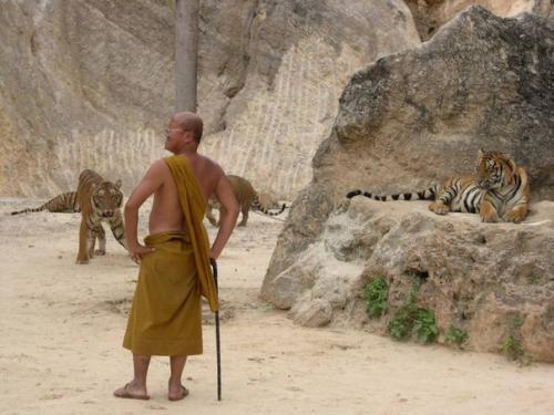 Храмы животных. Ezomir. 06 Храмы животных. Ezomir. 06