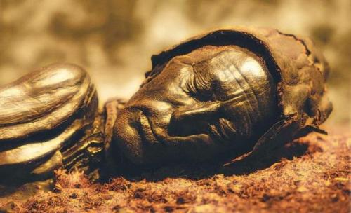 Тайны болотных мумий. 01