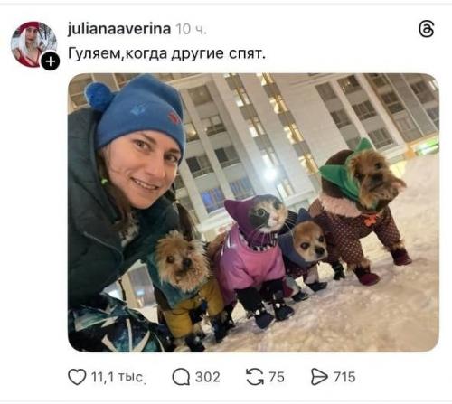 Девушка опубликовала снимок со своими собаками, однако внимательные пользователи обнаружили среди них кота.

