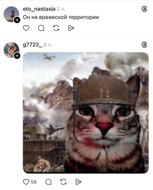 Девушка опубликовала снимок со своими собаками, однако внимательные пользователи обнаружили среди них кота. 03