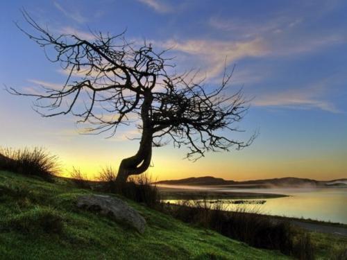 Семь мест в России, где люди и призраки живут рядом. 04 Семь мест в России, где люди и призраки живут рядом. 04