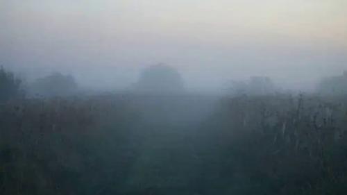 Мистические загадки плещеева озера. 03