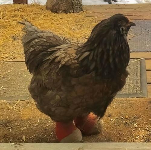 Да, это не шутка. 01