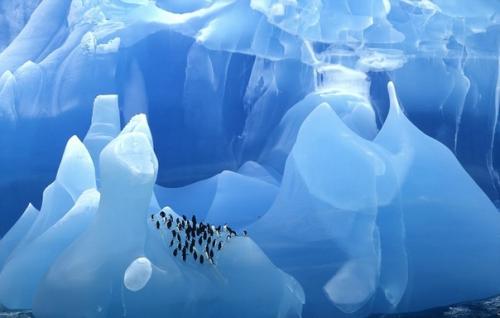 Как выглядят самые древние в мире айсберги. 04